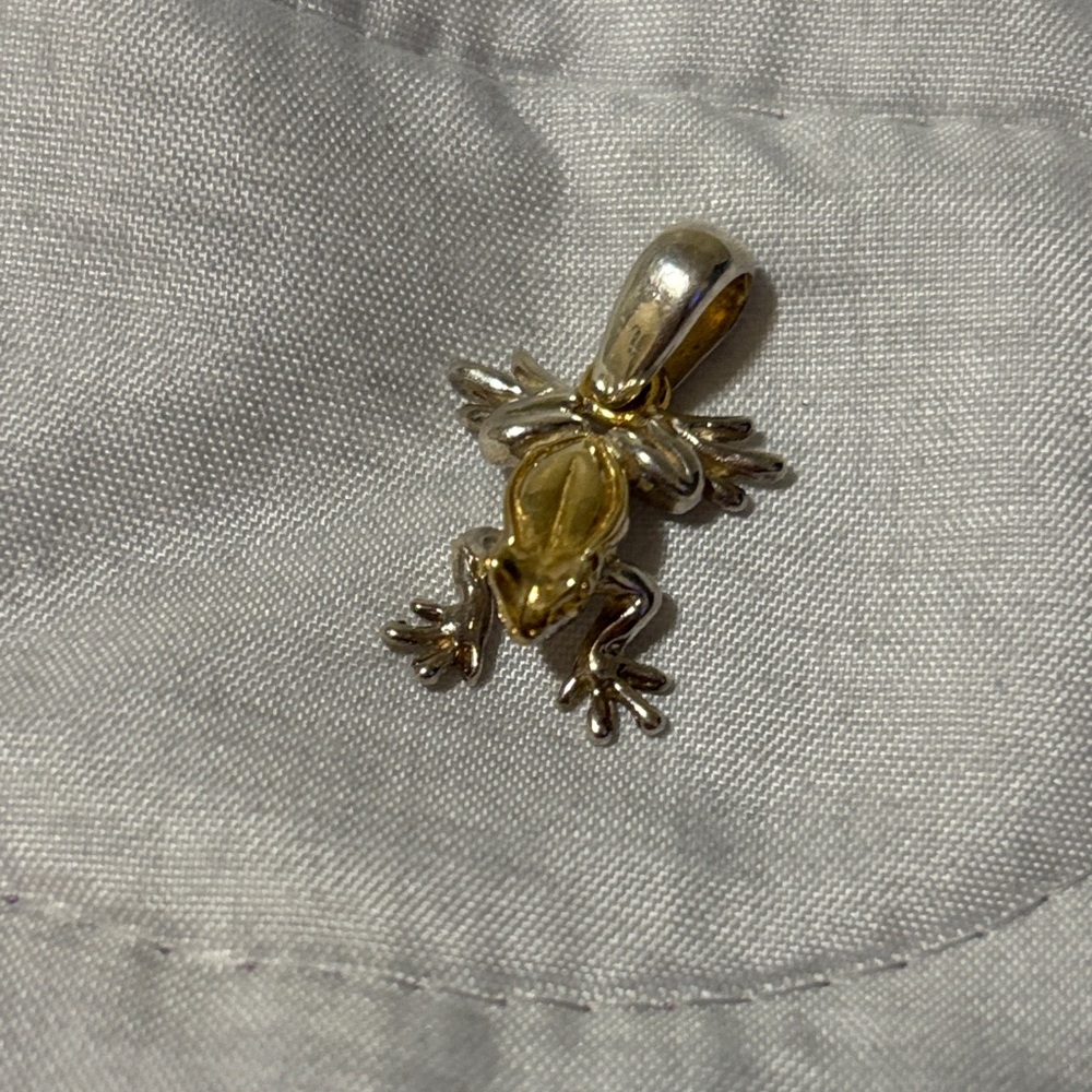Elegant Gold and Silver Frog Pendant Necklace